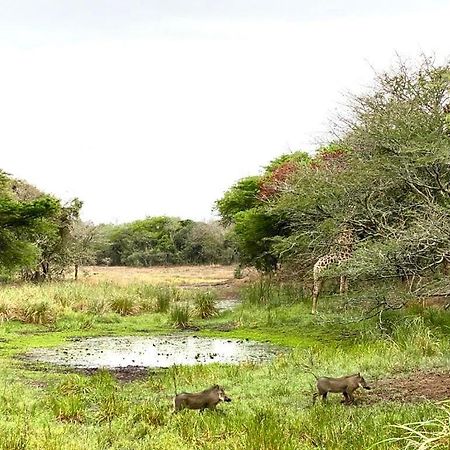 Hideaways Lazuli Bush Lodge, Hluhluwe Εξωτερικό φωτογραφία