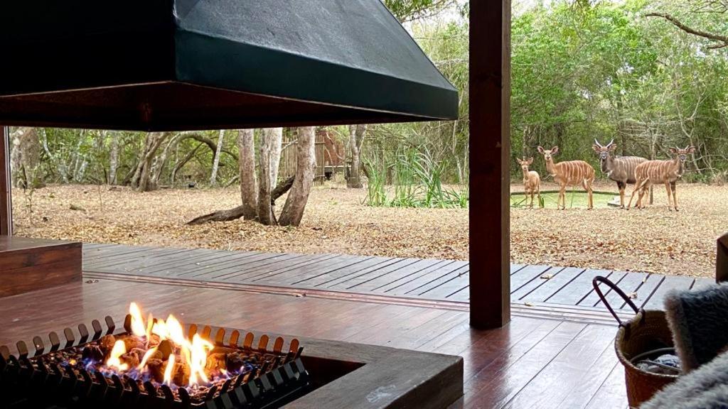 Hideaways Lazuli Bush Lodge, Hluhluwe Εξωτερικό φωτογραφία